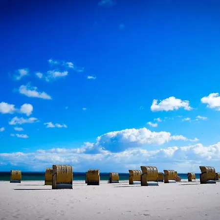 Olpekids * אולפניץ